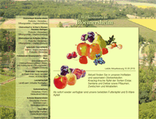 Tablet Screenshot of bloemersheim.de